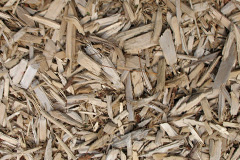 biomass boilers Bedlars Green